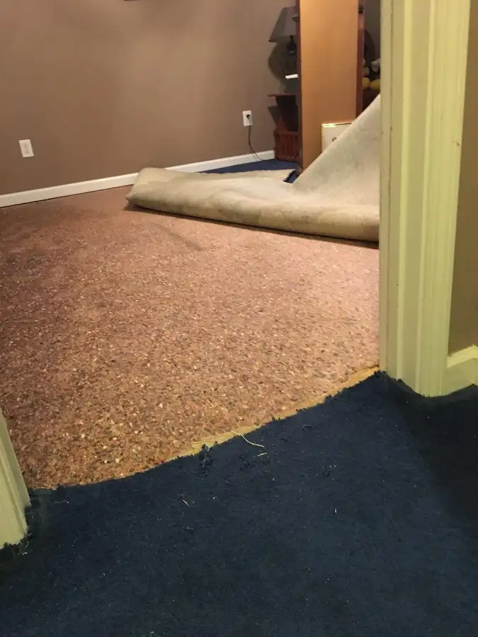 Carpet pad removal revealing water damage during Water Mitigation Services in Joplin